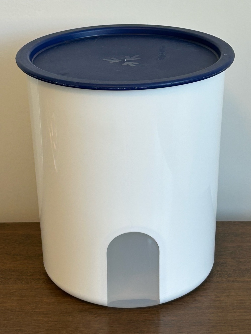 TUPPERWARE WHITE ONE TOUCH REMINDER WINDOW CANISTER "C" #2418 & BLUE SEAL #2419